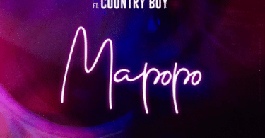 AUDIO Lulu Diva Ft Country Boy - Mapopo MP3 DOWNLOAD