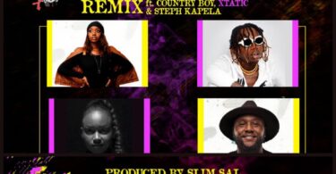 AUDIO Frida Amani Ft Country Boy X Tatic X Steph Kapela - Pull Up Remix MP3 DOWNLOAD