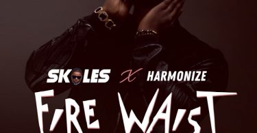 DOWNLOAD MP3 Skales - Fire Waist Ft Harmonize -