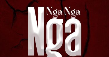 AUDIO DJ Ommy Ft Mr. Blue X Young Dee X Dully Sykes & Country Boy - Nga Nga Nga MP3 DOWNLOAD