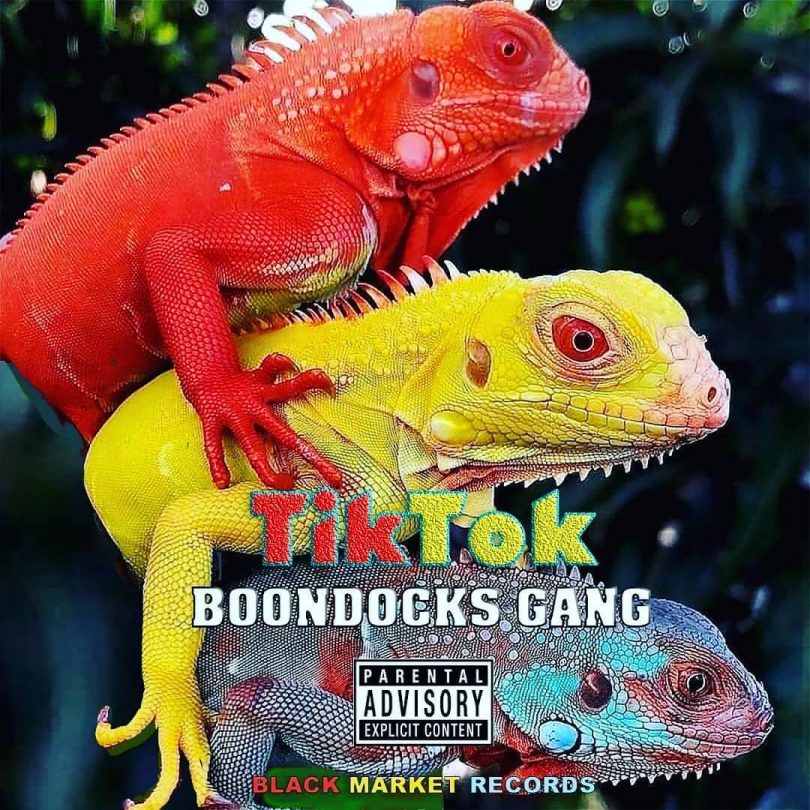 DOWNLOAD MP3 Boondocks Gang - Tiktok