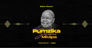 AUDIO Beka Flavour - Pumzika Salama MP3 DOWNLOAD