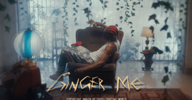 DOWNLOAD VIDEO Rema - Ginger Me MP4