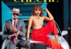 DOWNLOAD MP3 Zuchu - Cheche Ft Diamond Platnumz