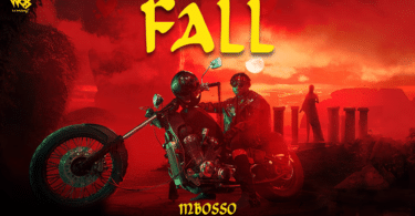 DOWNLOAD MP3 Mbosso - Fall (Prod. S2kizzy)