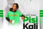 DOWNLOAD MP3 Zacky Stopper - Pisi Kali