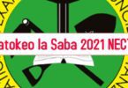 Matokeo Ya Darasa La saba 2021 - NECTA PSLE Results 2021