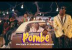 VIDEO Macvoice Ft Leon Lee X Rayvanny - Pombe MP4 DOWNLOAD