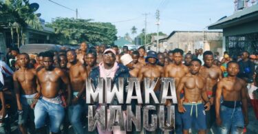 VIDEO Harmonize – Mwaka Wangu MP4 DOWNLOAD