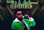 AUDIO Chege - Walete MP3 DOWNLOAD