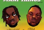 AUDIO Superwozzy - Many Things Remix Ft. Otega MP3 DOWNLOAD