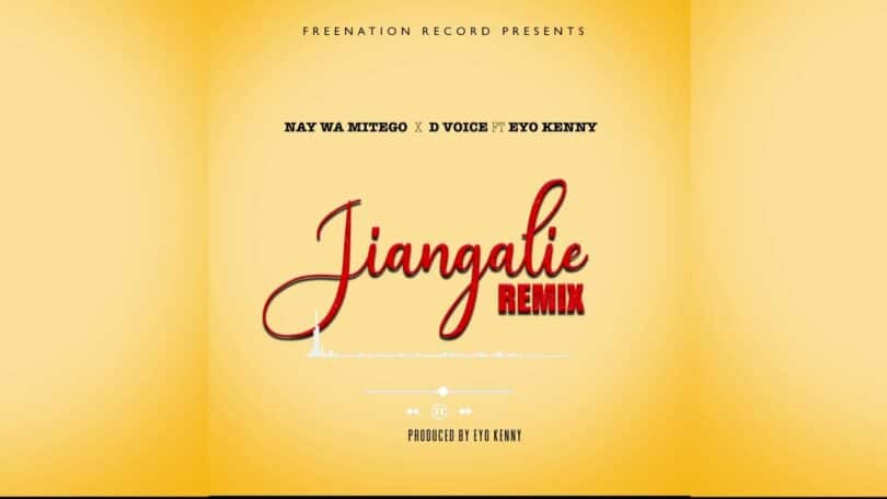 AUDIO Nay Wa Mitego Ft. D Voice X Eyoo Kenny - Jiangalie MP3 DOWNLOAD