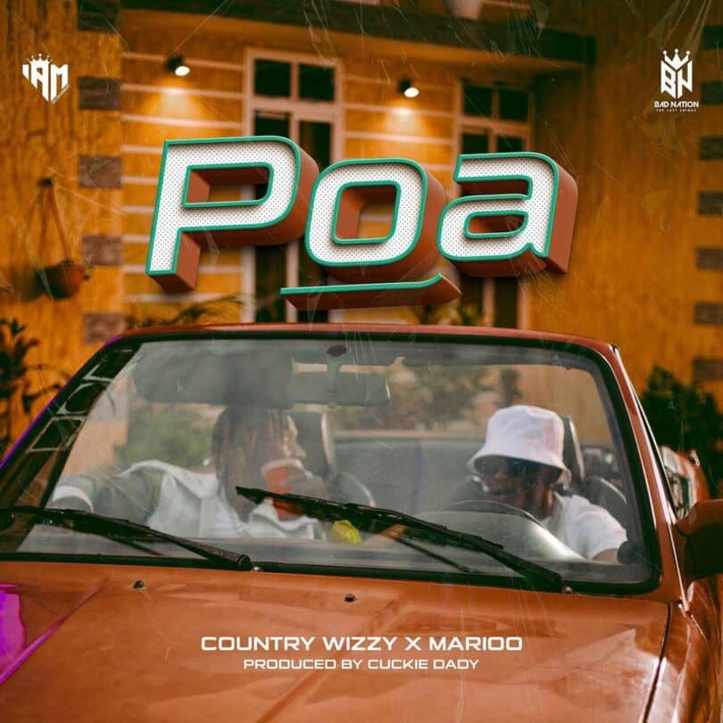 AUDIO Country Wizzy Ft Marioo - Poa MP3 DOWNLOAD