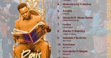 Nay Wa Mitego - Raisi Wa Kitaa FULL ALBUM MP3 DOWNLOAD