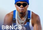 Download Bongo Mixes Ft Harmonize on Mdundo