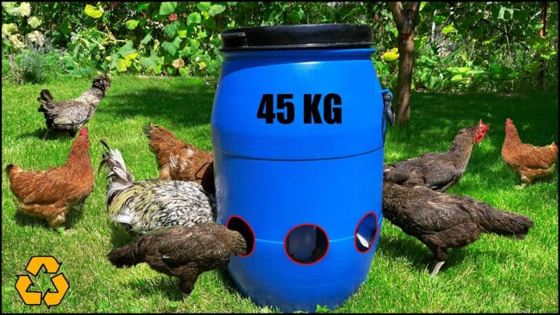 VIDEO Home Made Super Chicken Feeder.