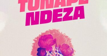 Ibraah – Tunapendeza LYRICS Ft Harmonize