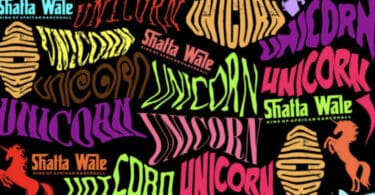 Shatta Wale - Unicorn Lyrics