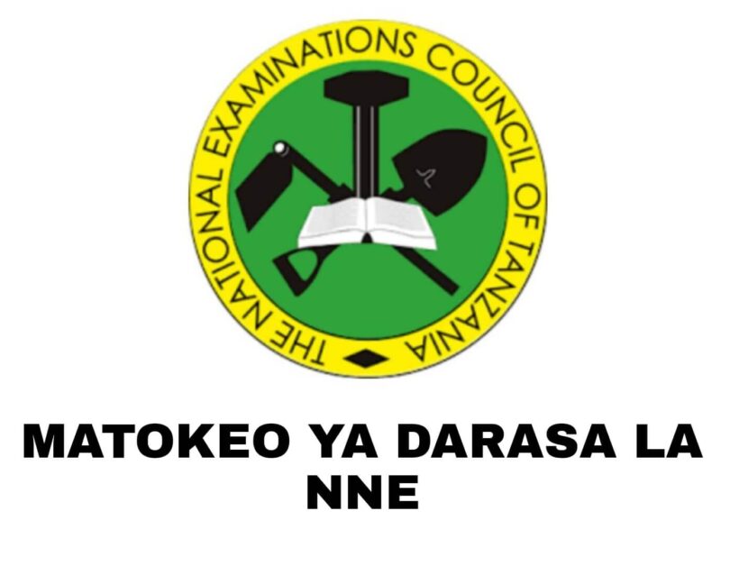 Matokeo Darasa la Nne 2022 Tazama hapa - Standard Four SFNA Results 2022