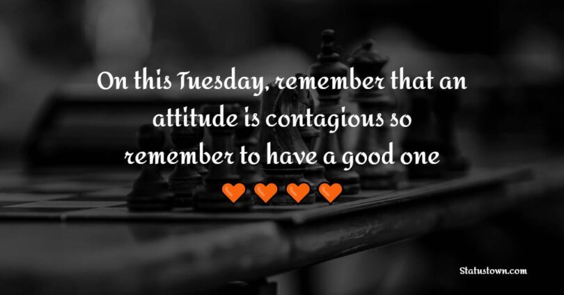 Tuesday Quotes to stay motivated during the weekdays 2023