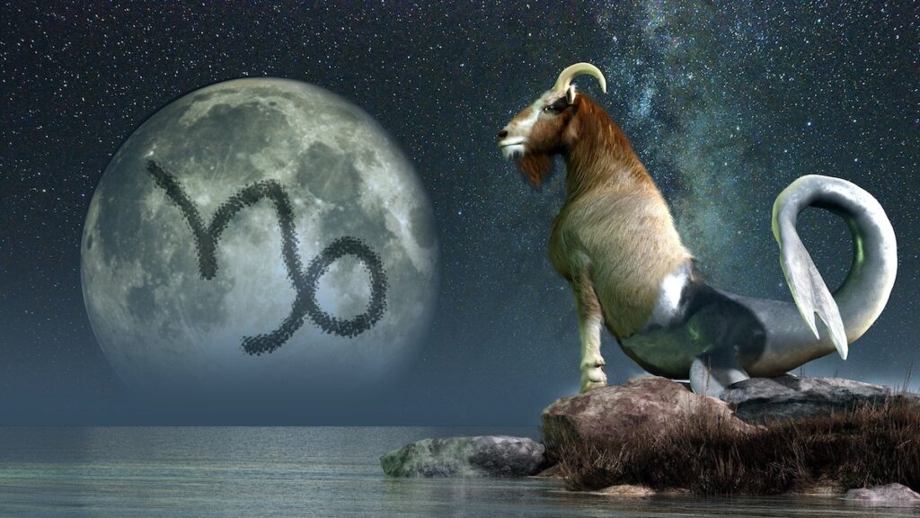 What zodiac sign is January?