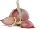 All To Know About Garlic