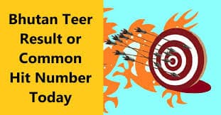 Bhutan Teer Result in 13.03.2023 Today Live Result, Counter Result, Common Numbers