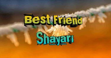 50 Best Friendship Shayari in hindi 2023