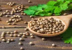 Coriander And Its Health Benefits, Uses, and Nutritional Facts