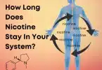 How long does Nicotine stay in your System?