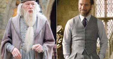 Is dumbledore gay?