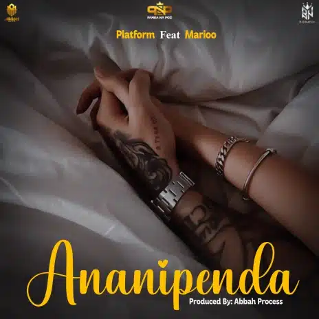 AUDIO Platform - Ananipenda Ft Marioo MP3 DOWNLOAD