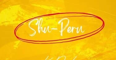 Listen to Kizz Daniel - Shu-Peru Song