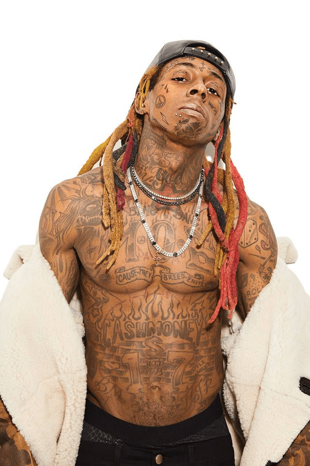 Lil Wayne Net Worth: A Comprehensive Look