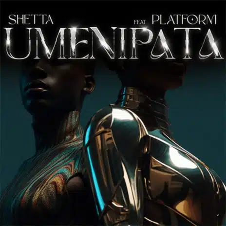 AUDIO Shetta - Umenipata Ft Platform MP3 DOWNLOAD