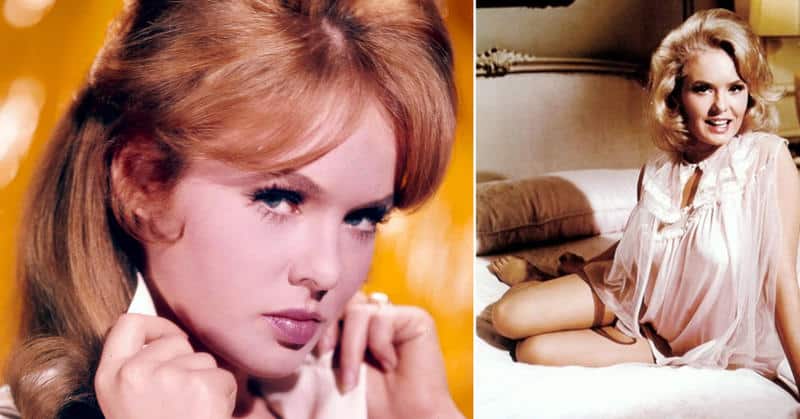 Who is Joey Heatherton? Everything You Need To Know