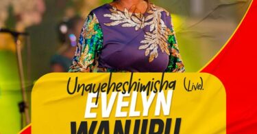 AUDIO Evelyn Wanjiru - Unayeheshimisha MP3 DOWNLOAD