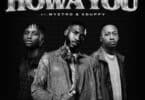 AUDIO Daliwonga Ft Myztro X Xduppy X Shaunmusiq X Ftears – Howa You MP3 DOWNLOAD