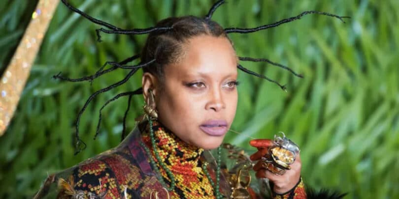 Erykah Badu Net Worth