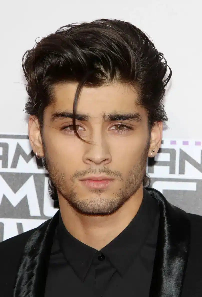 Zayn Malik Net Worth: Charting the Wealth of a Pop Sensation