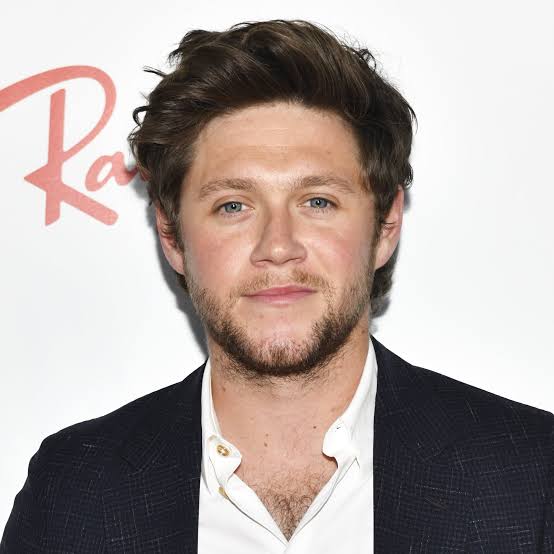 Niall Horan Net Worth