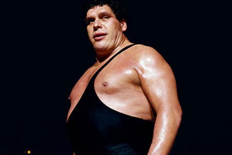 Andre the Giant Cause of Death: The Giant's Final Bout