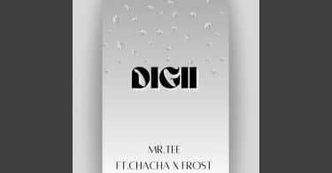 AUDIO Mr. Tee - Digii Ft. Frost X E.C MP3 DOWNLOAD