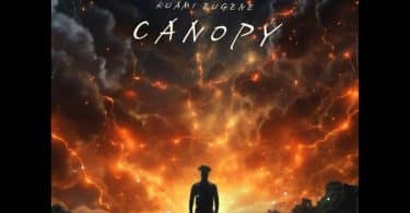 AUDIO Kuami Eugene - Canopy MP3 DOWNLOAD