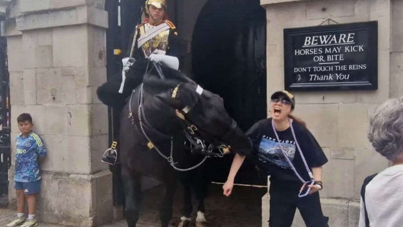 King Charles' Guard Horse Bites Tourist in Shocking Incident (Video)