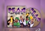 AUDIO Saida Karoli Ft Mr. Ozz B X D&B - PESA MP3 DOWNLOAD