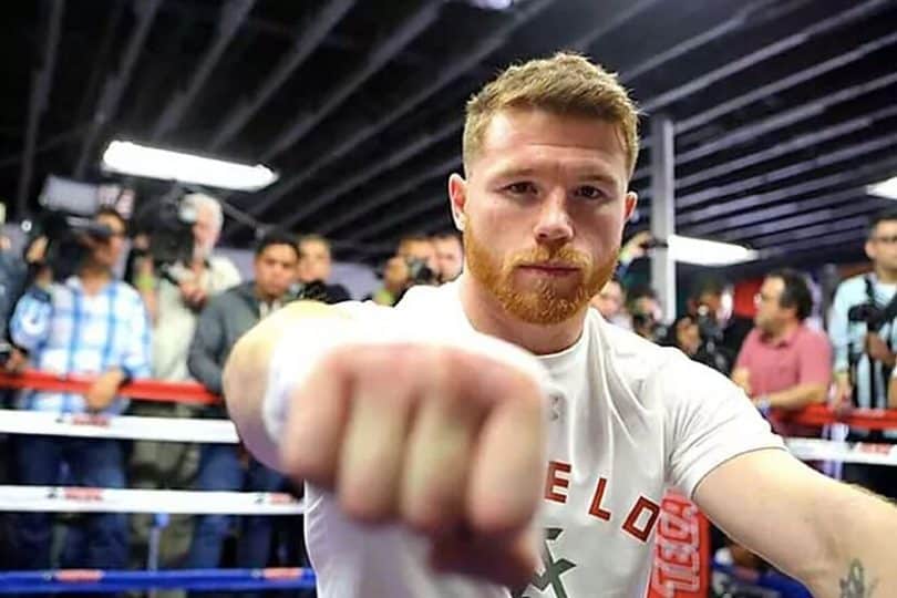 Canelo Alvarez Net Worth: Punching His Way to Millions