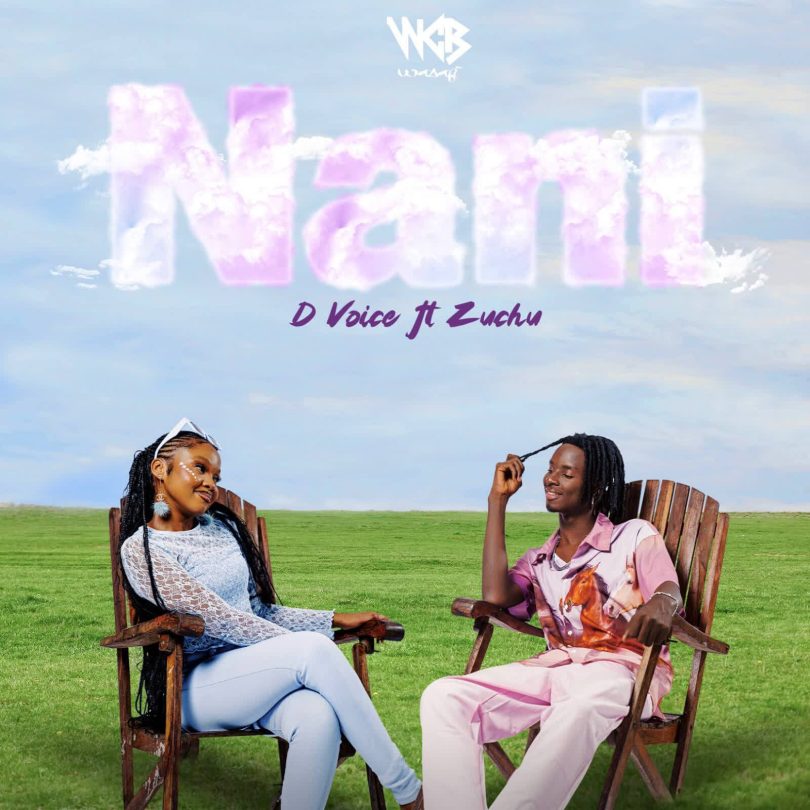 AUDIO D Voice - Nani Ft Zuchu MP3 DOWNLOAD