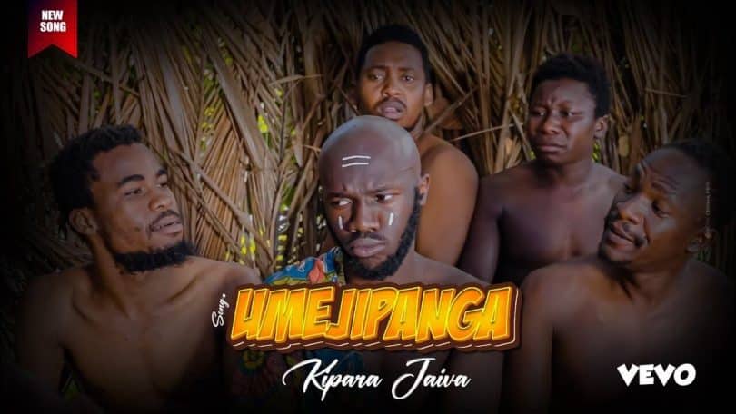 AUDIO Kipara Jaiva - Umejipanga MP3 DOWNLOAD