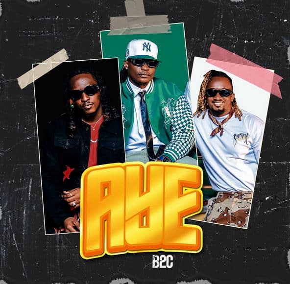 AUDIO B2C - AYE MP3 DOWNLOAD